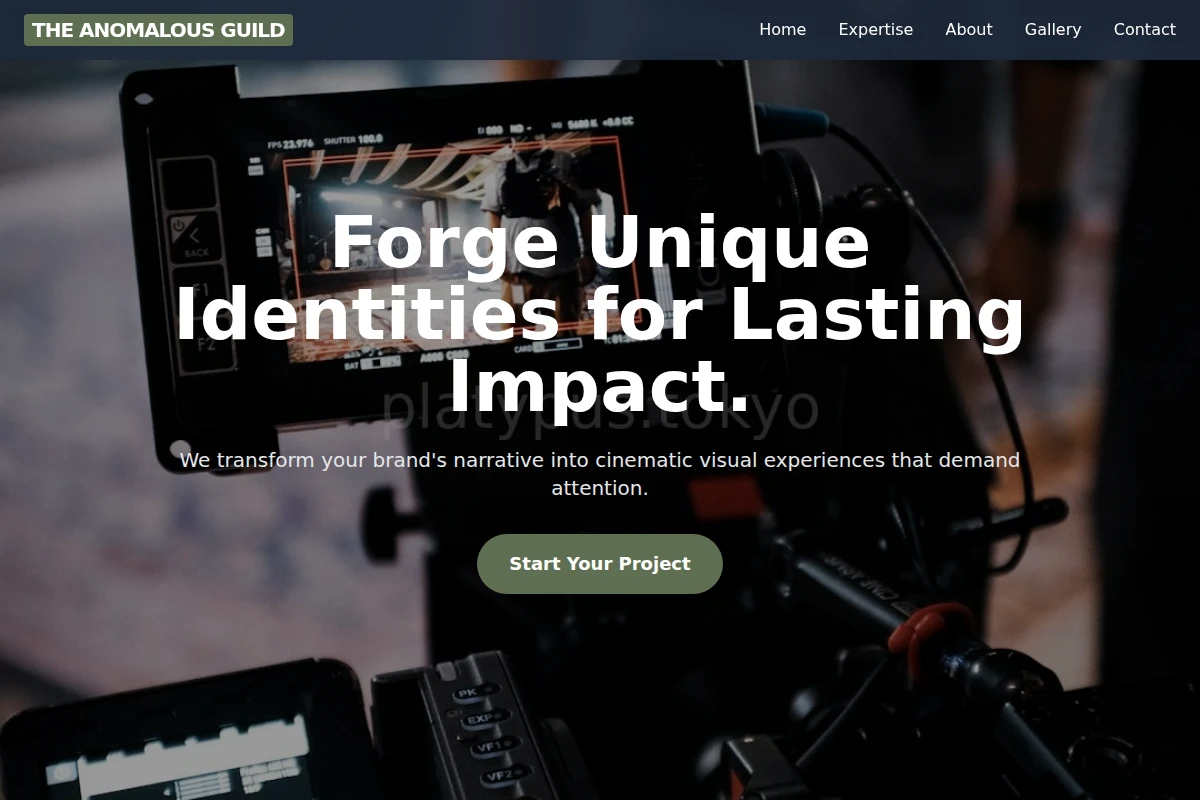 Vector Video Production